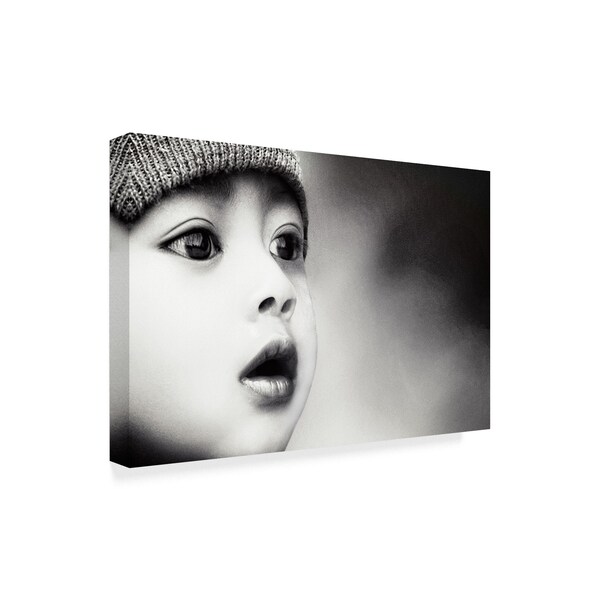 Piet Flour 'Amazement' Canvas Art,16x24